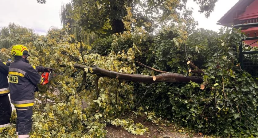 Strażacy podsumowali dzisiejsze wichury [GALERIA]