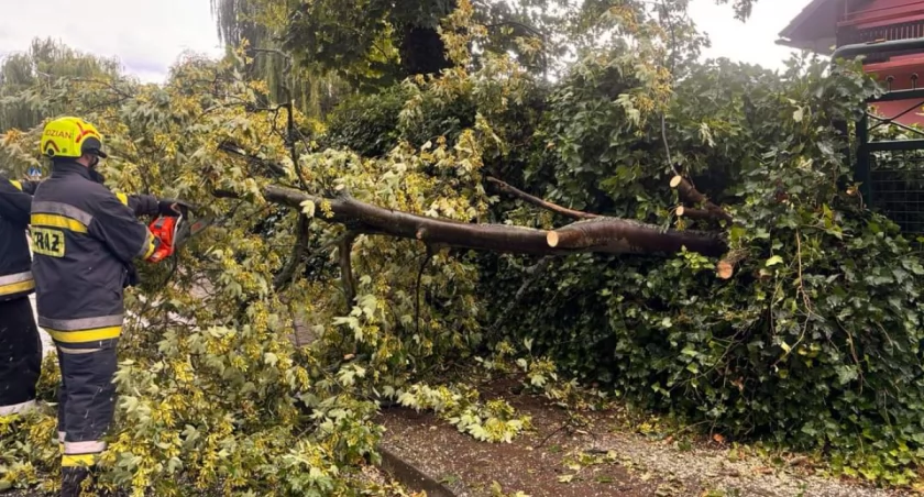 Strażacy zanotowali 42 zdarzenia. Zmarła jedna osoba