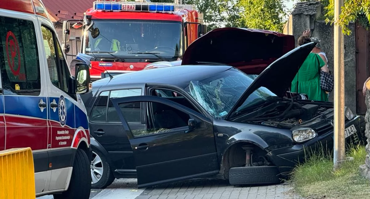 Wypadek w Daleszewie. Z samochodu wydobywał się dym [GALERIA]