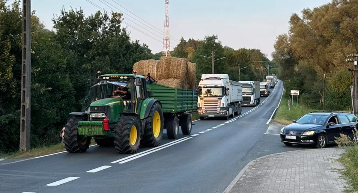 Wypadki, pożary, drzewa na drodze, osy w szpitalu