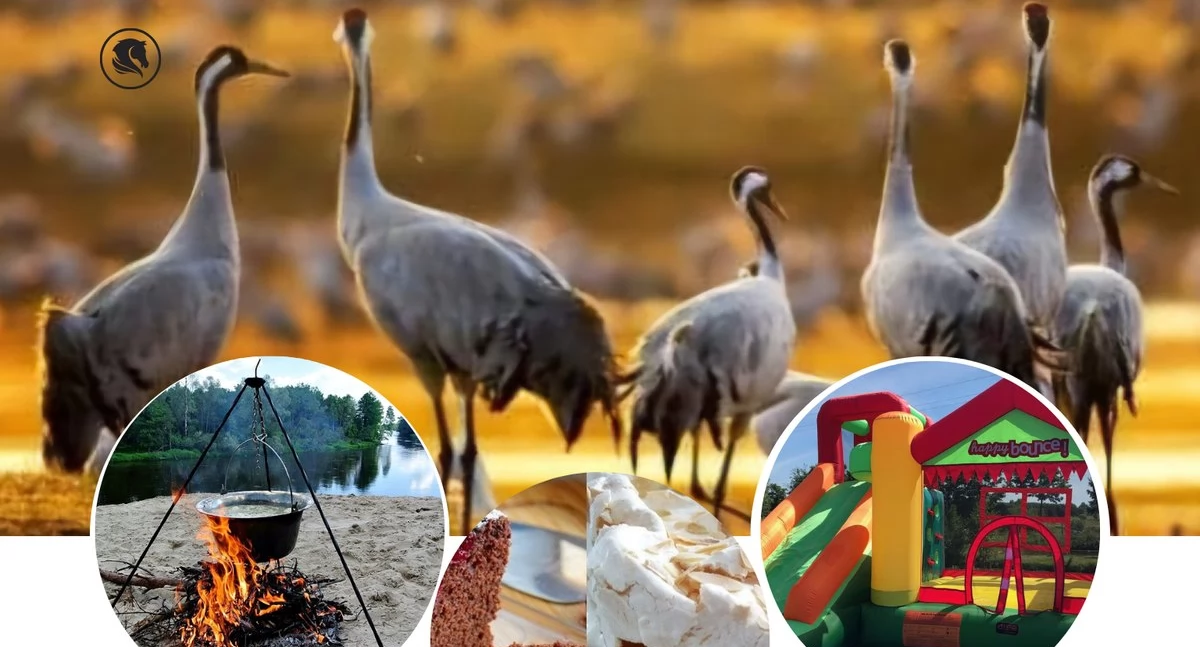 Zapraszają na Dzień Żurawia!