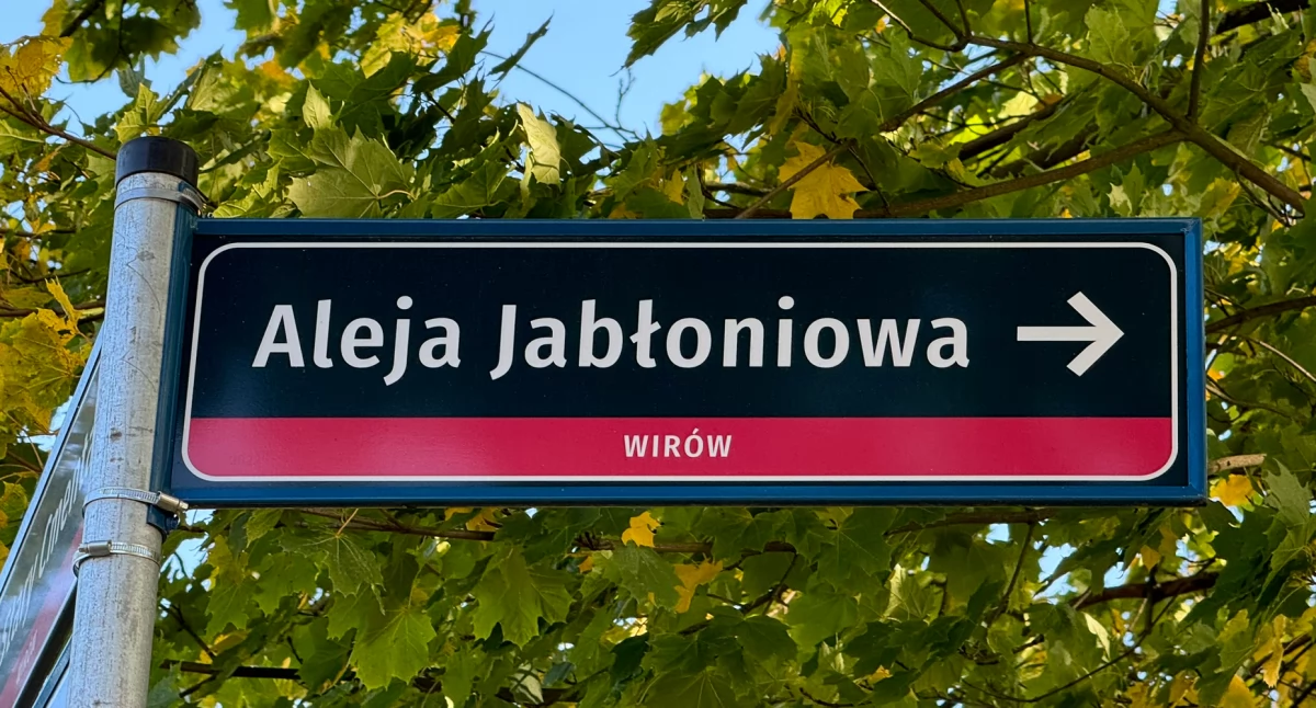 Pracownicy FIEGE posadzili sto drzew [VIDEO]