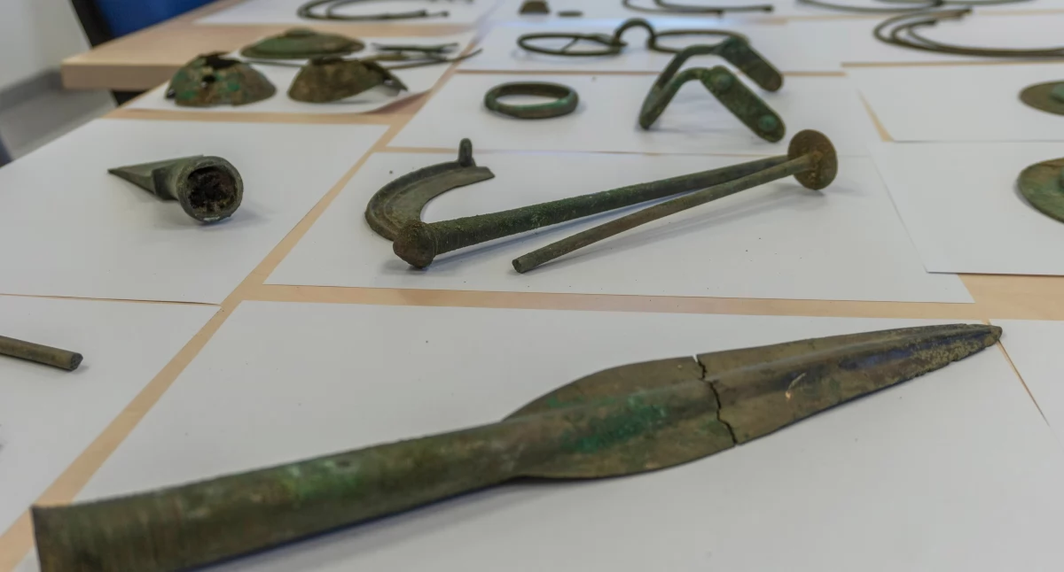 Ktoś wykopał przedmioty sprzed 3 tysięcy lat. Skarb podrzucił Towarzystwu Miłośników Historii Ziemi Gryfińskiej [GALERIA]