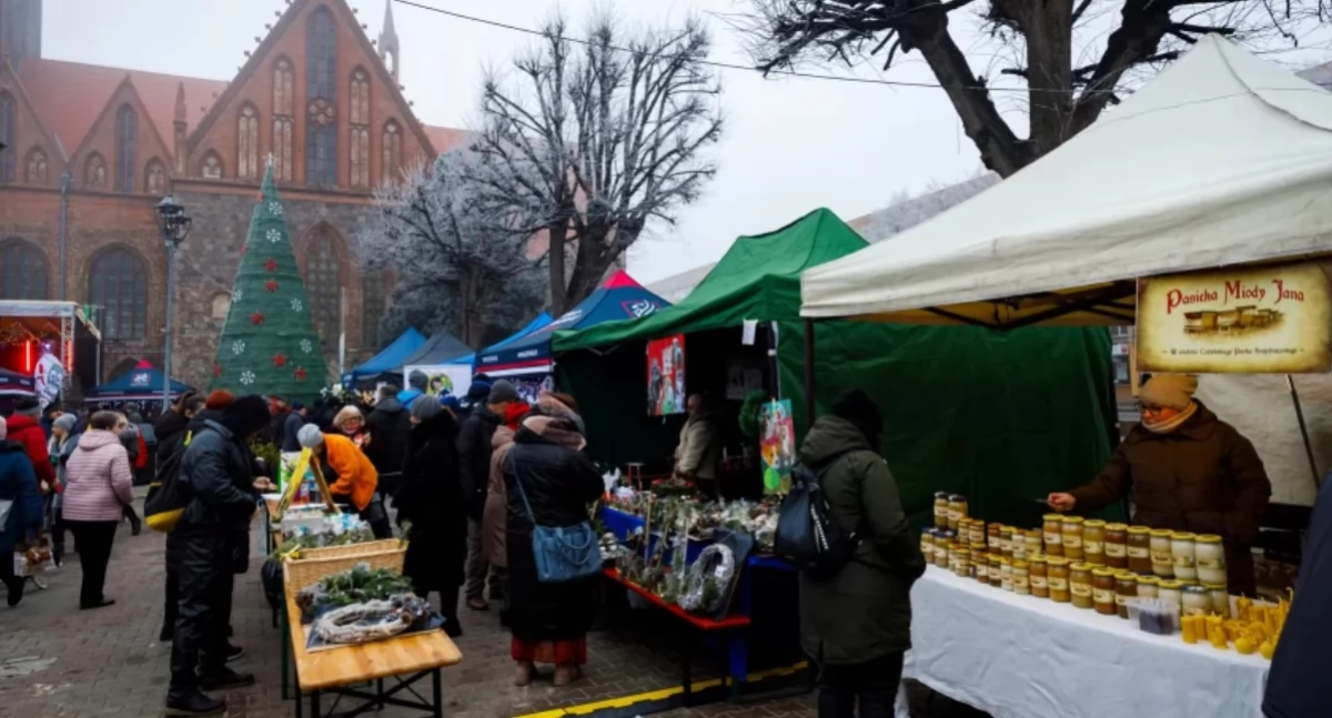 W Gryfinie odbędzie się nie tylko Jarmark Bożonarodzeniowy, ale także Mikołajki i Miejska Wigilia
