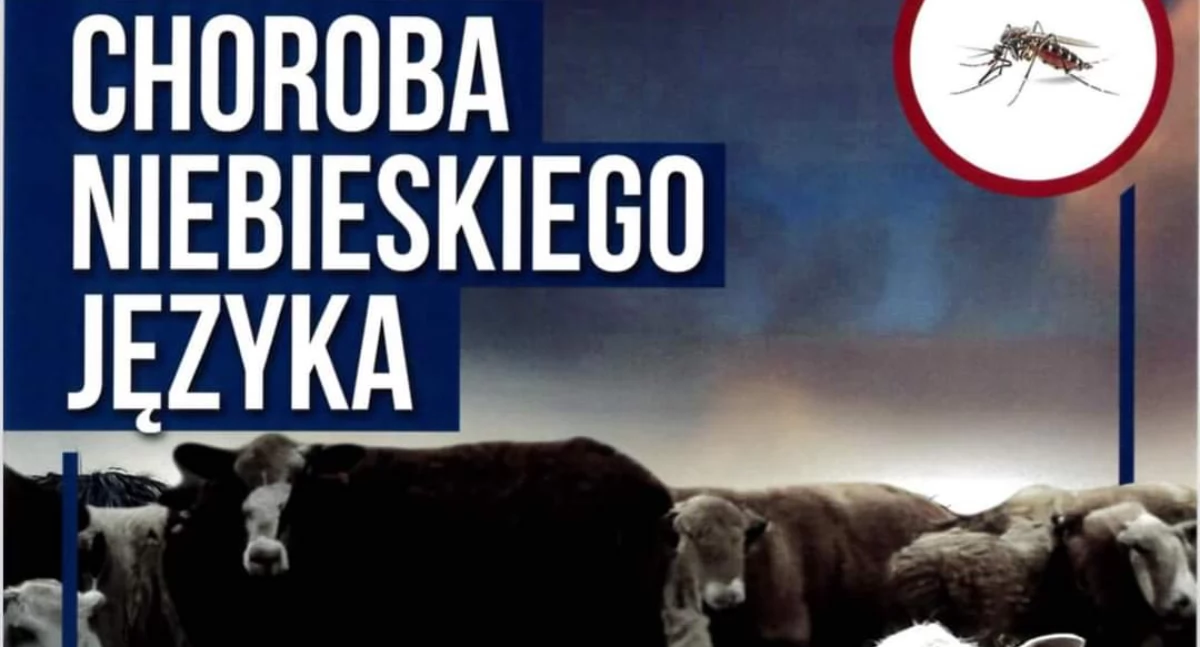 Ostrzeżenie przed chorobą niebieskiego języka 
