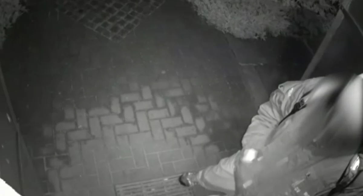 Złodzieje znów grasują? Jednego kamera złapała w Pniewie