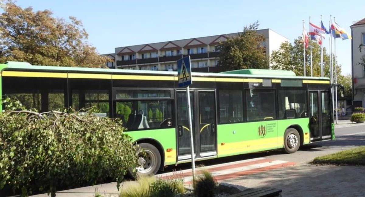 Jak wygląda transport publiczny w gminie Chojna?