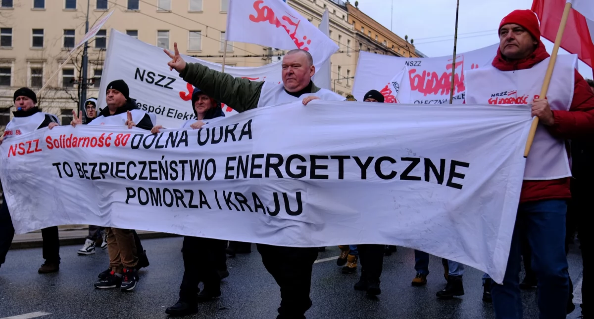 Nasi na manifestacji. Fotorelacja