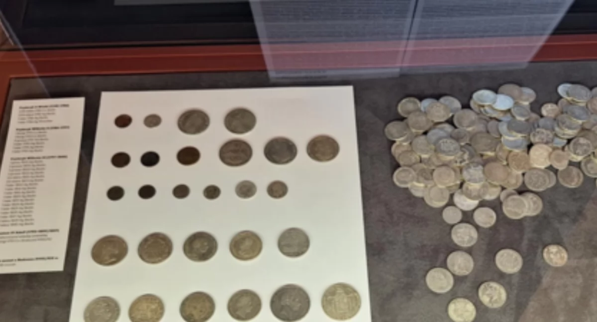 Muzeum w Szczecinie zaprezentowało monety znalezione w Rożnowie [GALERIA]