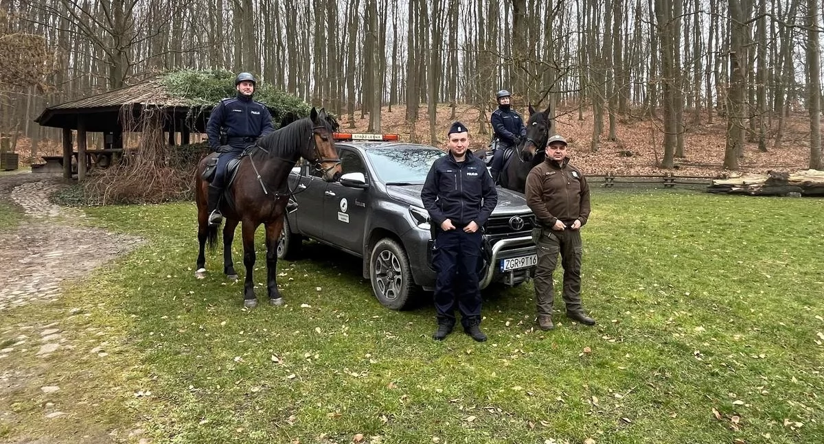 Policja na koniach. Działają wspólnie ze Strażą Leśną [ZDJĘCIA]