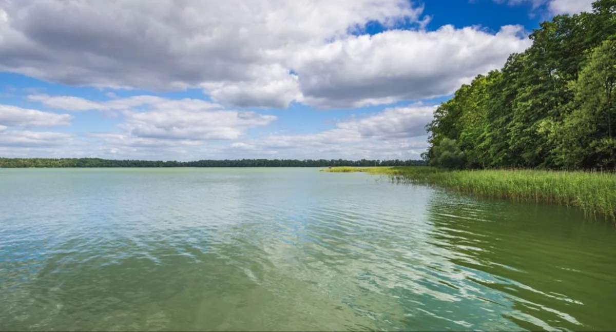 Służby potwierdzają. Nie żyje 73-latek