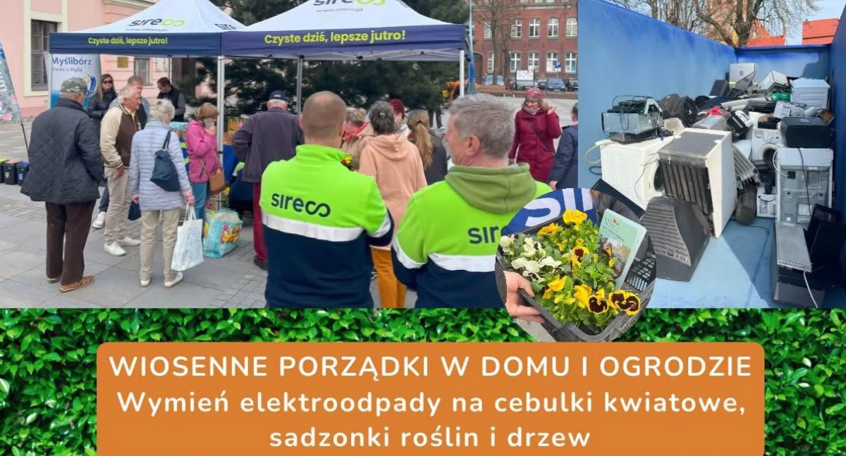 Dostaniesz rozsady za elektroodpady