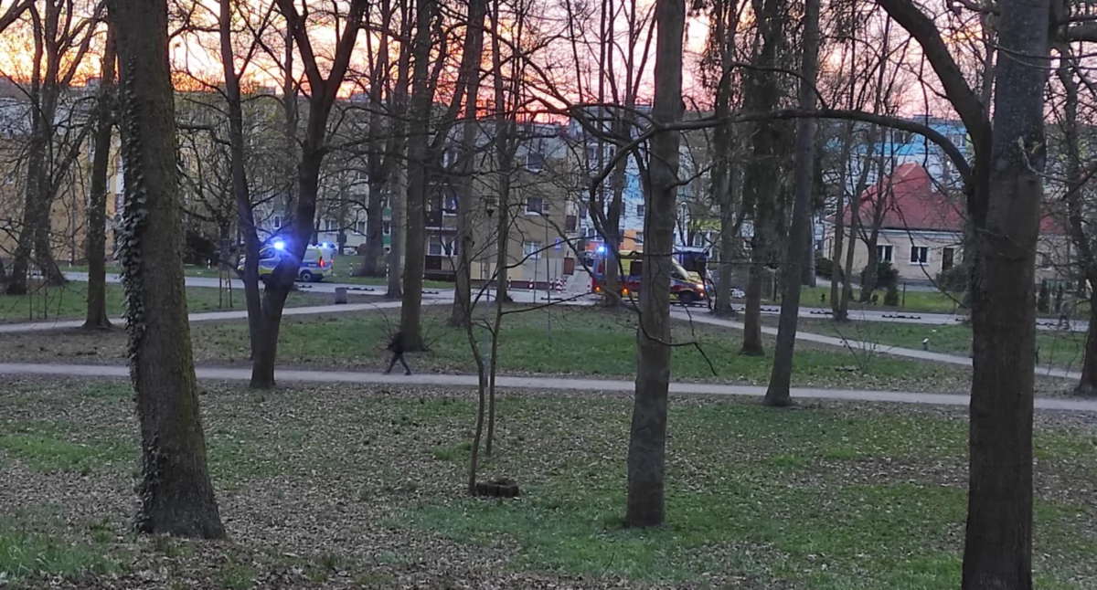 Policja i pogotowie interweniowały w gryfińskim parku
