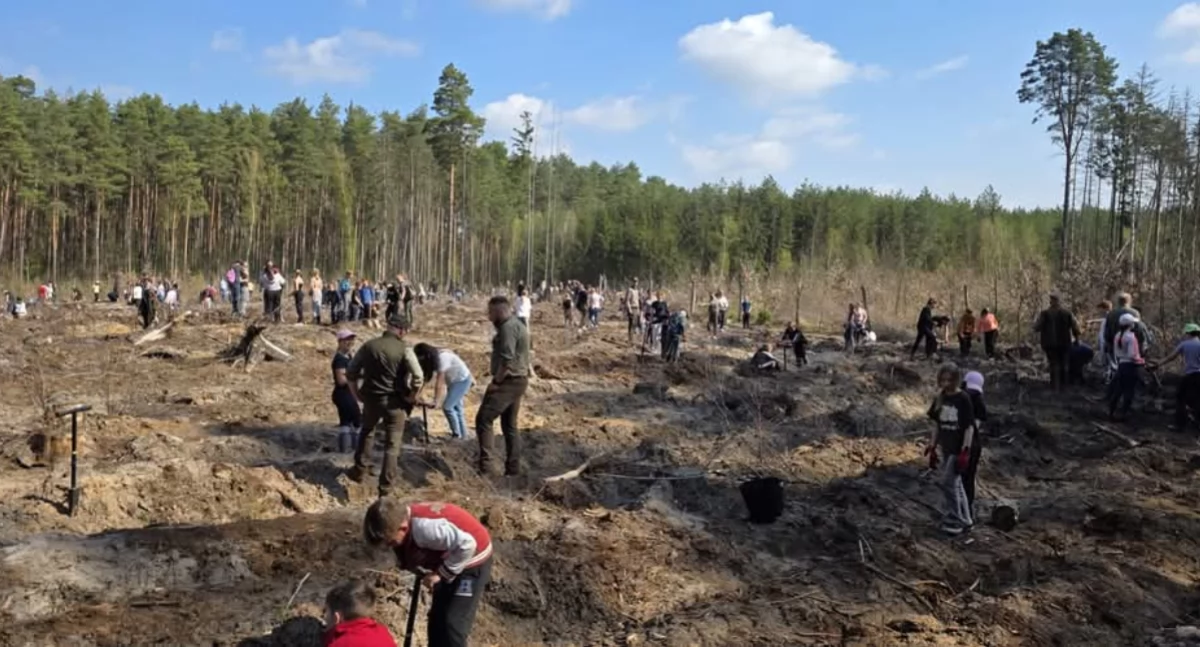Uczniowie i starosta sadzili drzewa [GALERIA]