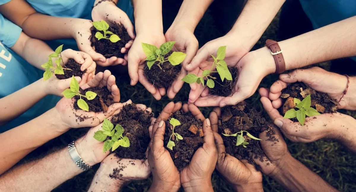 Zapraszają do opracowania Miejskiego Planu Adaptacji do zmian klimatu dla Gryfina 