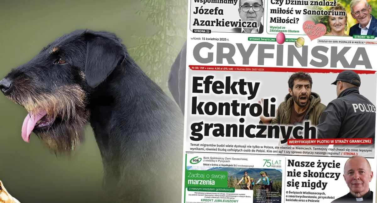 W niedzielę odbędzie sie wystawa psów oraz… wyścig jamników!  
