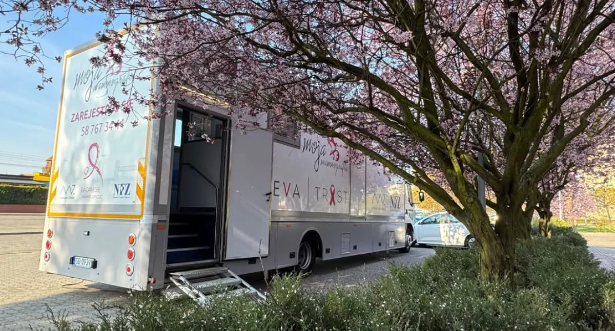 Mammobus przejedzie przez powiat gryfiński