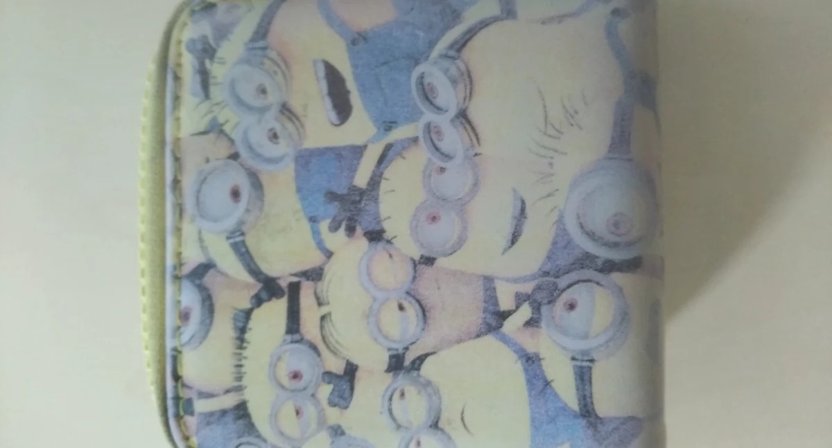 Do kogo należy portfel z Minionkami?