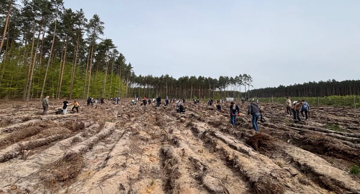 Uczniowie sadzili las [GALERIA]