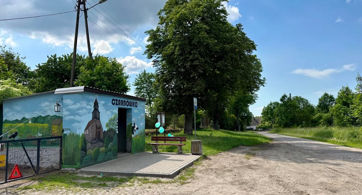 Co czeka nas w niedzielę? [ROZKŁAD JAZDY]