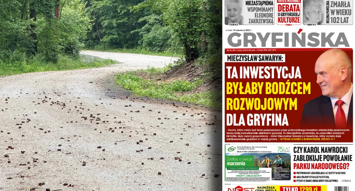 Leśna droga w Wełtyniu. Wkrótce kolejne inwestycje Nadleśnictwa