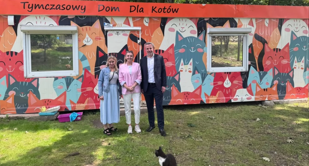 Lepsze warunki bytowe dla bezdomnych kotów