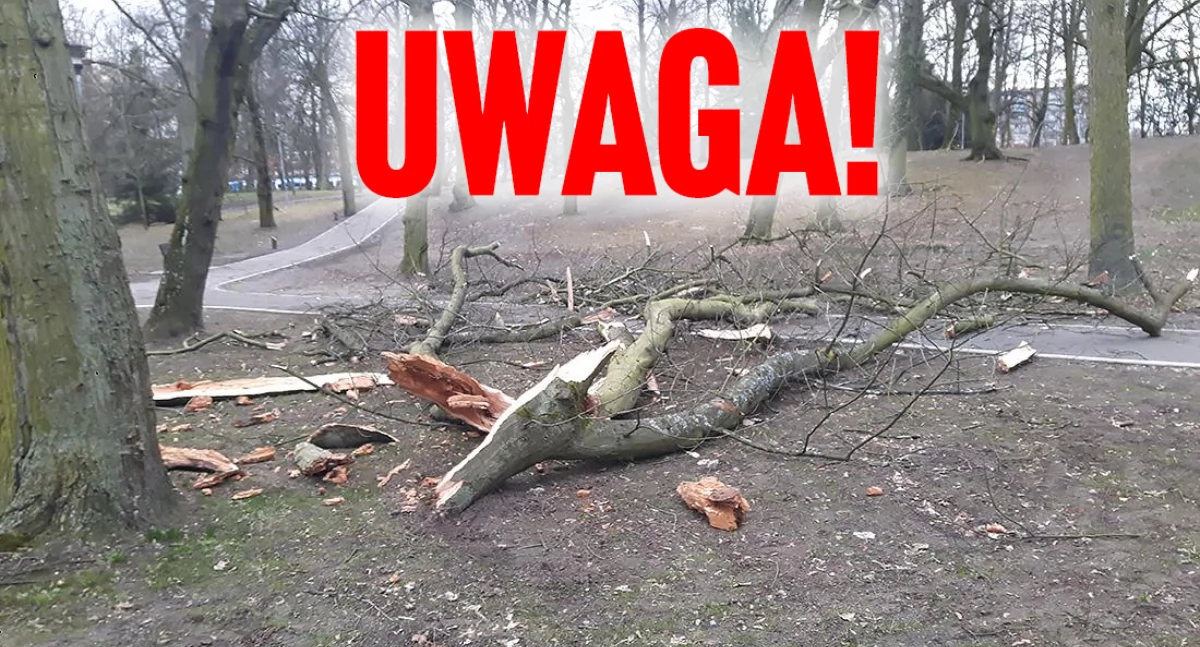Ostrzegają przed burzą i zamykają cmentarze i park