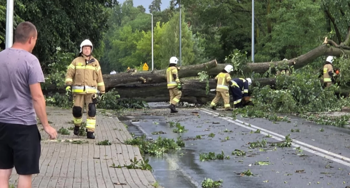 Ubiegłotygodniowe wichury odbiły się na życiu mieszkańców regionu