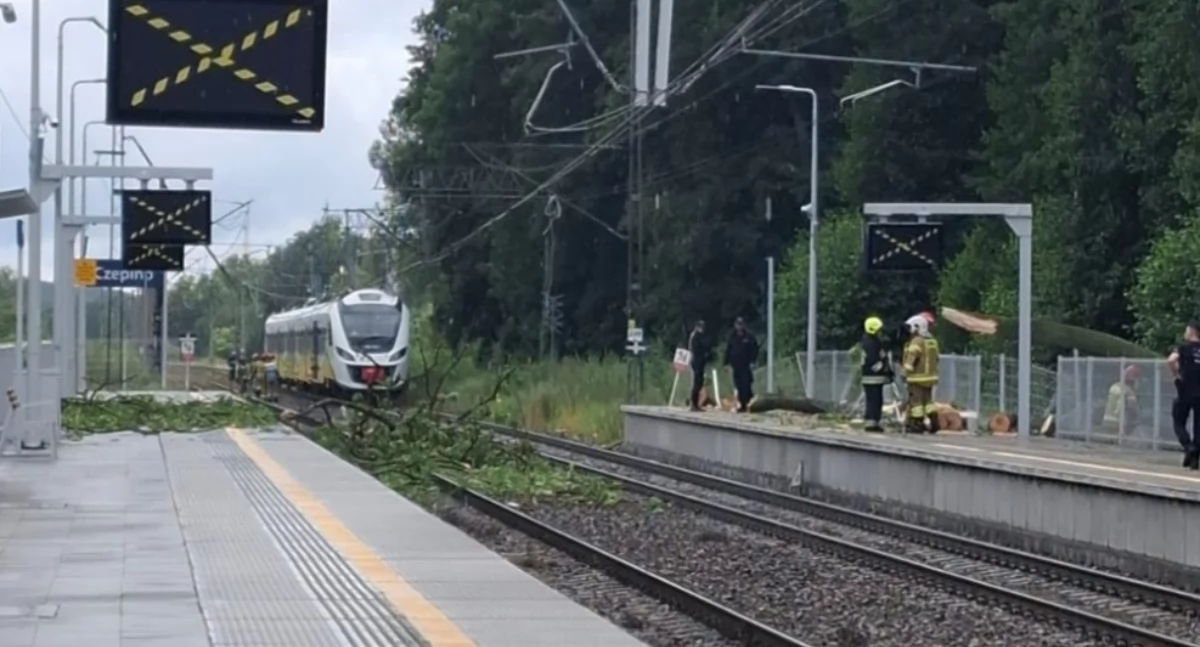 Drzewo spadło na torowisko i uszkodzilo sieć trakcyjną