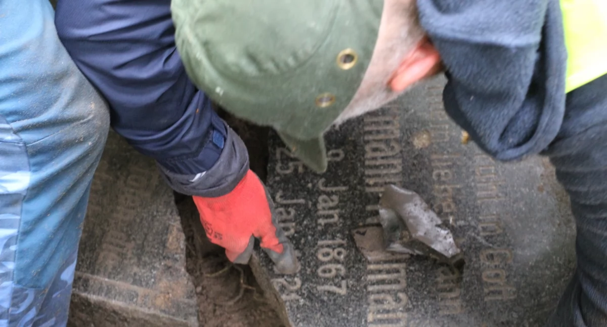 Dzięki nim zapomniana nekropolia przemówiła ponownie
