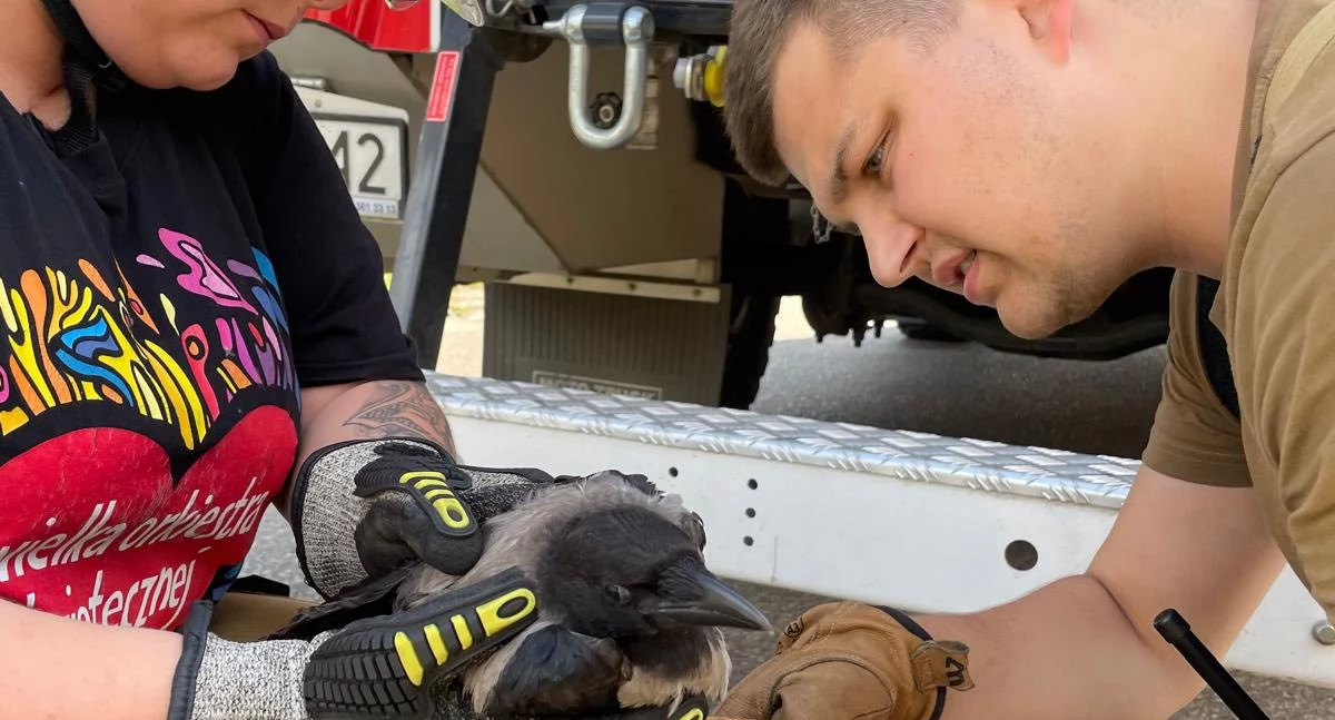 Apel do wędkarzy – nie zostawiajcie po sobie śmiercionośnych pułapek!