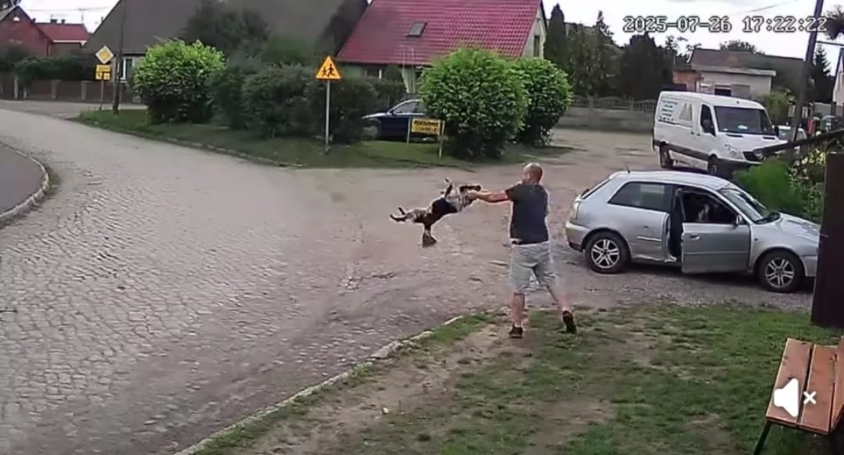 Mężczyzna, który brutalnie potraktował psa został zatrzymany
