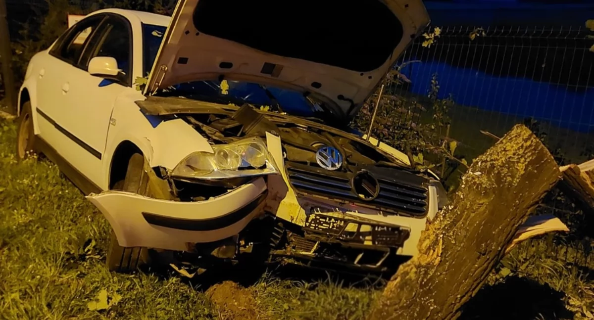 Ucieczkę przed policją zakończył na drzewie