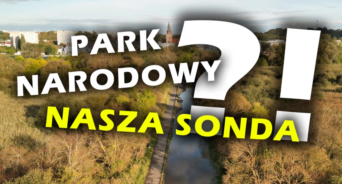 SONDA w sprawie PARKU NARODOWEGO. Jesteś ZA czy PRZECIW? Zagłosuj!