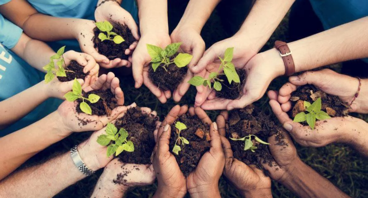 Gmina Gryfino realizuje projekt dla klimatu