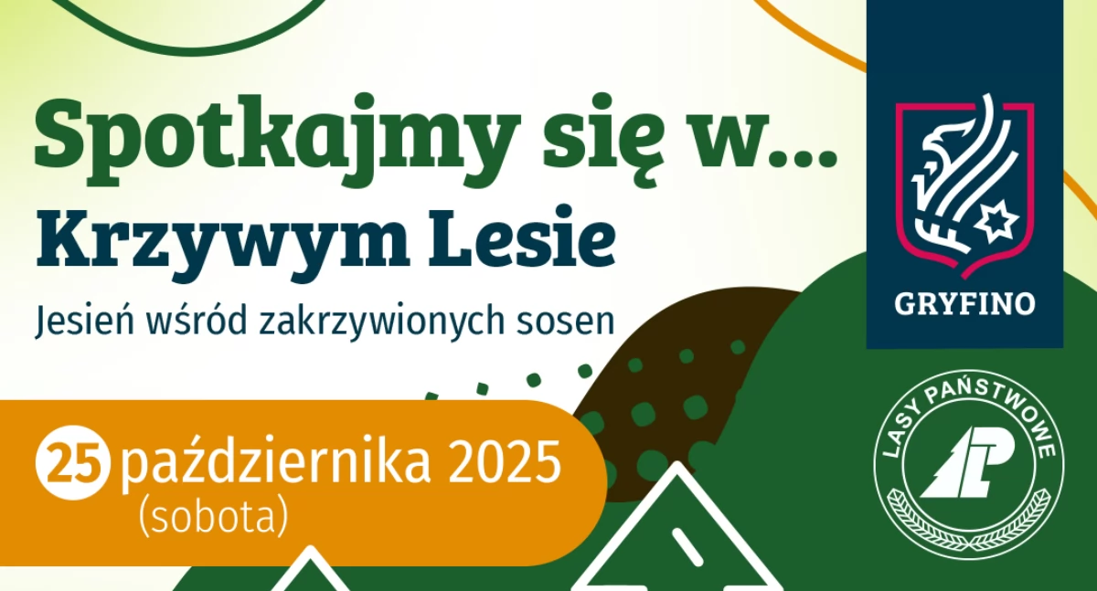 Spotkajmy się w Krzywym Lesie!
