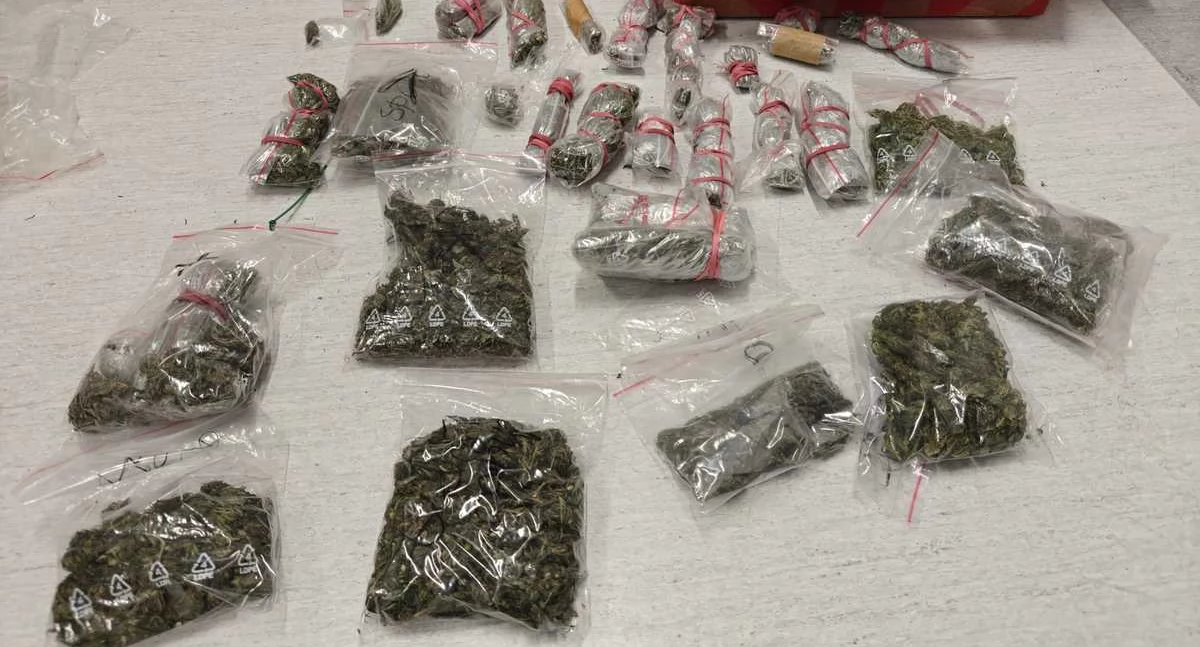 Policjanci zatrzymali mężczyznę z ponad pół kilogramem marihuany