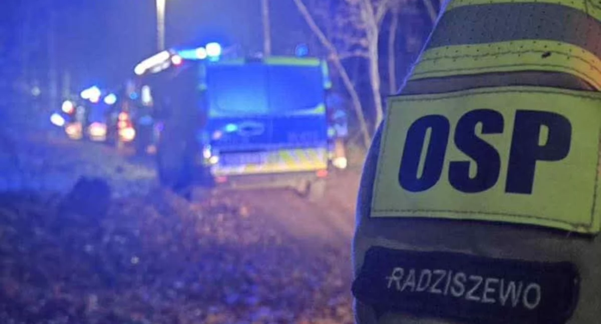 W Wełtyniu paliły się domki letniskowe 