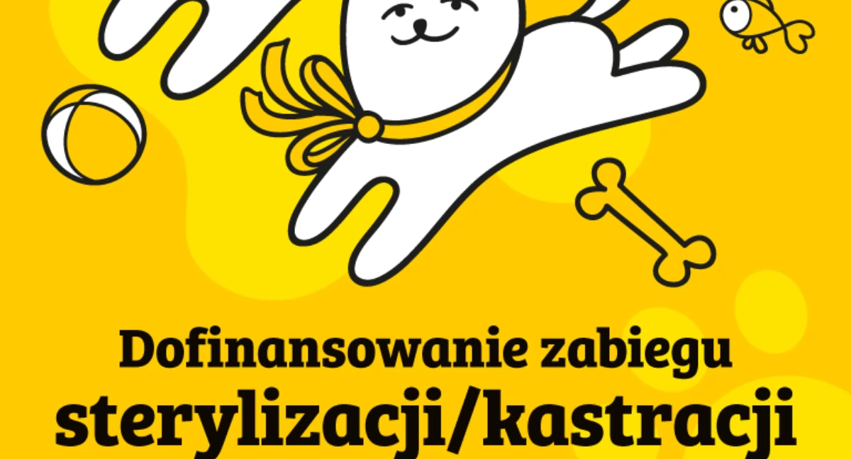 Zadbaj o swojego pupila - rusza dofinansowanie do sterylizacji i kastracji!