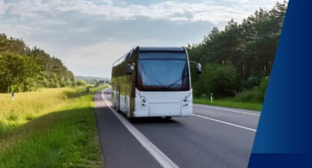 Gmina organizuje transport autobusowy do Szczecina 