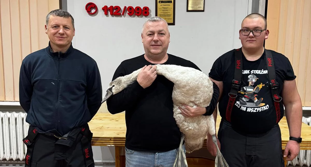 Patryk z rodziną nie pozostali obojętni wobec rannego łabędzia [GALERIA]