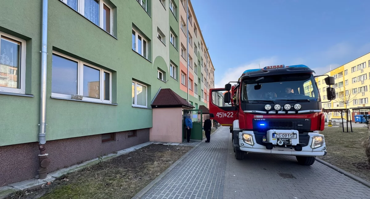 Ta sama klatka. Tym razem bez ognia
