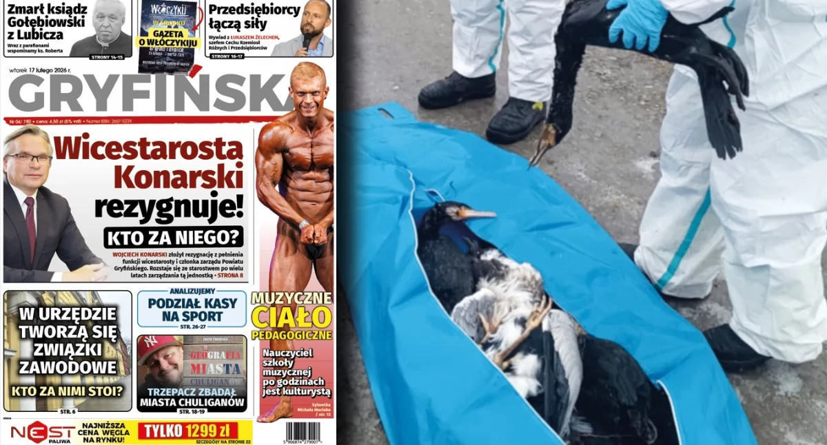 W samym Gryfinie padło ponad 100 ptaków