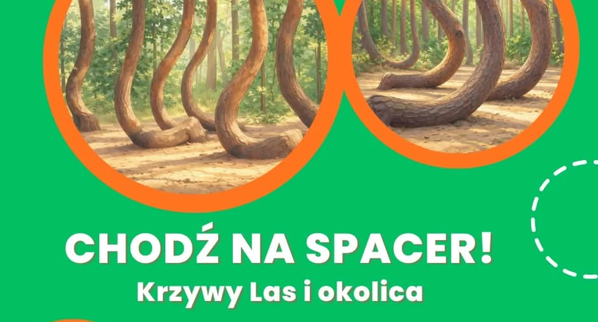 Chodź na spacer! – Krzywy Las i okolica