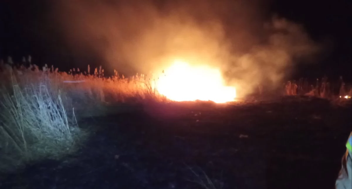 W regionie płoną trawy i samochody
