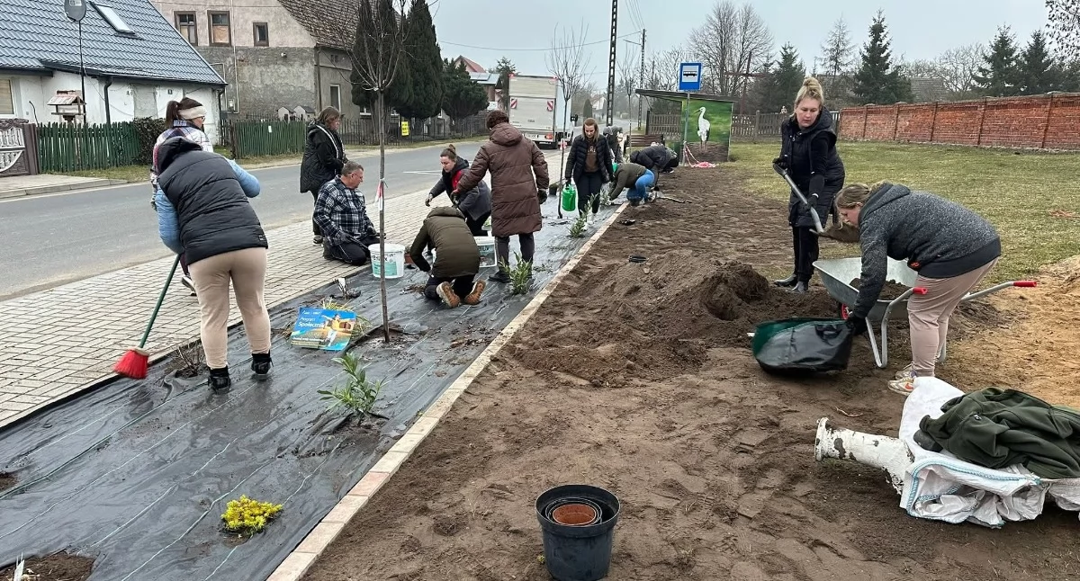Napisali grant, a ich wieś się zazieleniła [GALERIA]