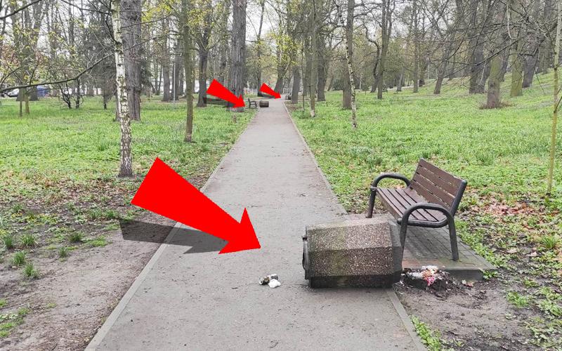 Wróciła stara plaga. Poprzewracane śmietniki w parku