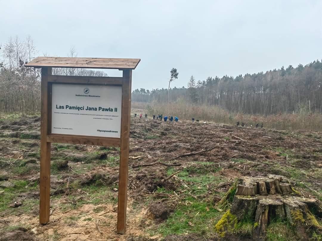 Posadzili Las Pamięci Jana Pawła II [GALERIA]