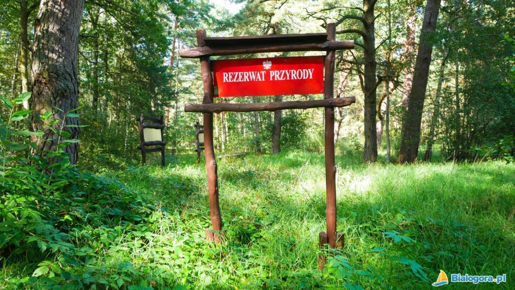 Rozmawiali o powstaniu nowego rezerwatu przyrody