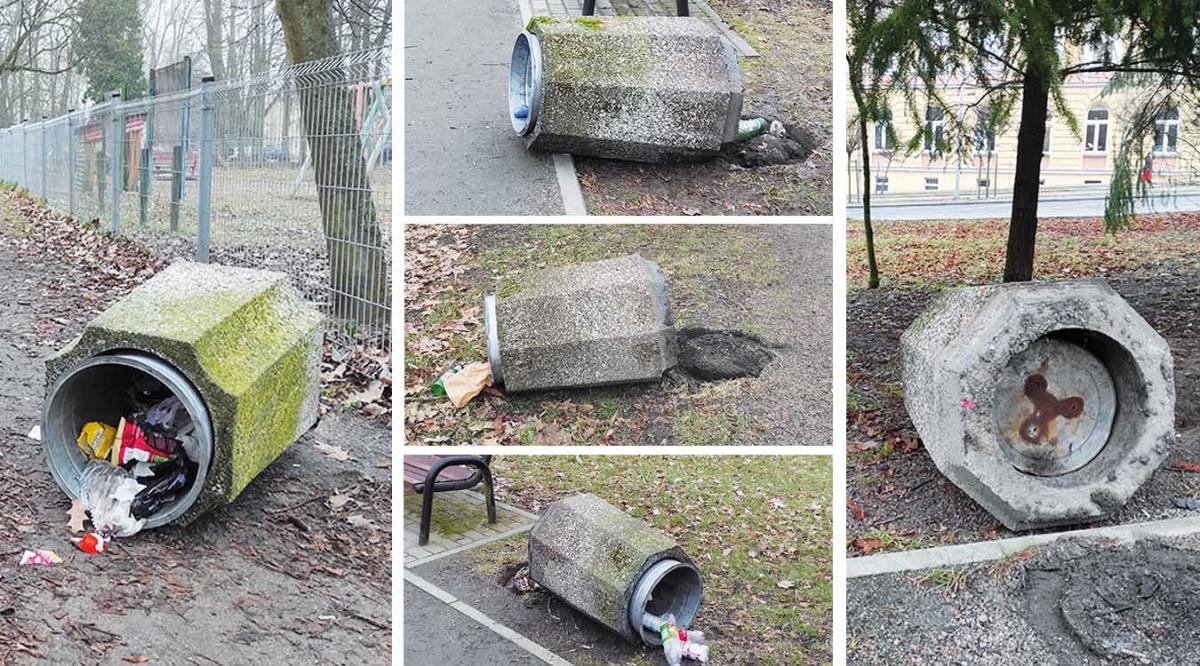 Nocna batalia ze śmietnikami